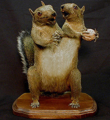 Illustration for article titled Interview: Minnesota Association Of Rogue Taxidermists